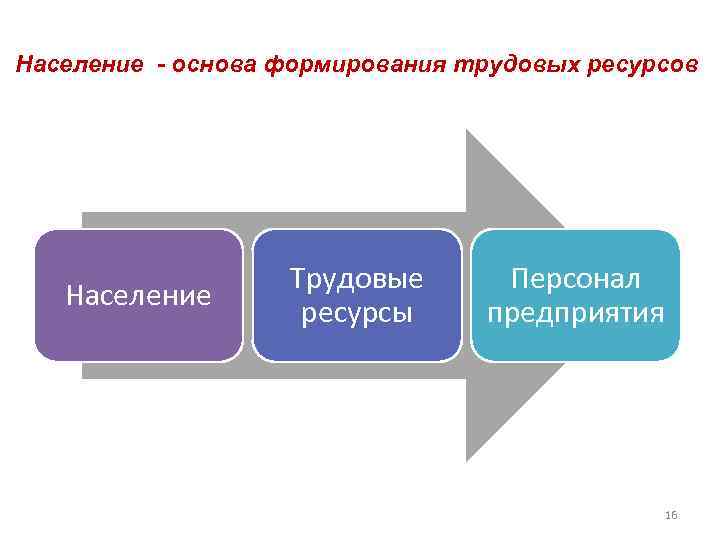 Население - основа формирования трудовых ресурсов Население Трудовые ресурсы Персонал предприятия 16 