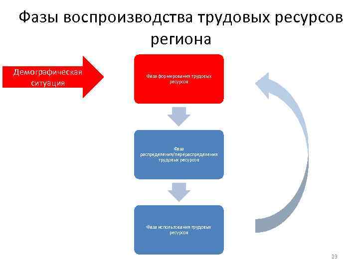 Фазы воспроизводства трудовых ресурсов региона Демографическая ситуация Фаза формирования трудовых ресурсов Фаза распределения/перераспределения трудовых