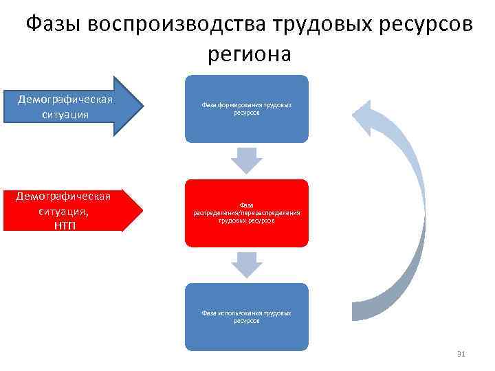 Воспроизводства кадров. Фаза формирования ресурсов труда. Стадии воспроизводства трудовых ресурсов. Основные фазы воспроизводства трудовых ресурсов. Типы воспроизводства трудовых ресурсов.