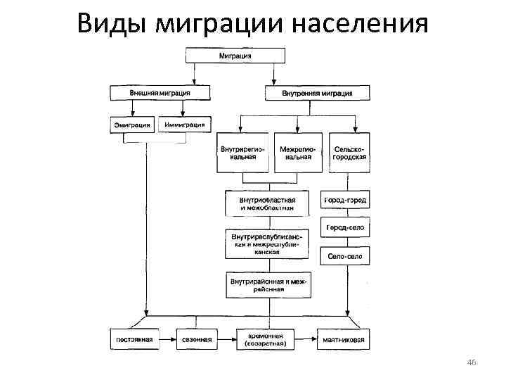 Виды миграций населения схема