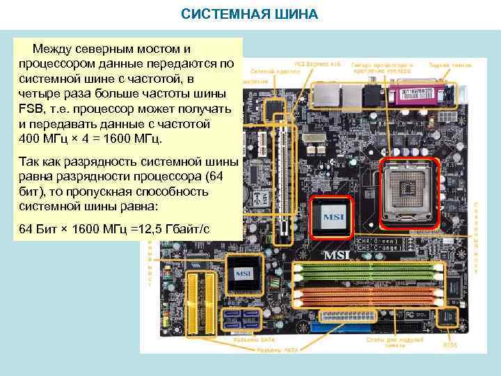 СИСТЕМНАЯ ШИНА Между северным мостом и процессором данные передаются по системной шине с частотой,