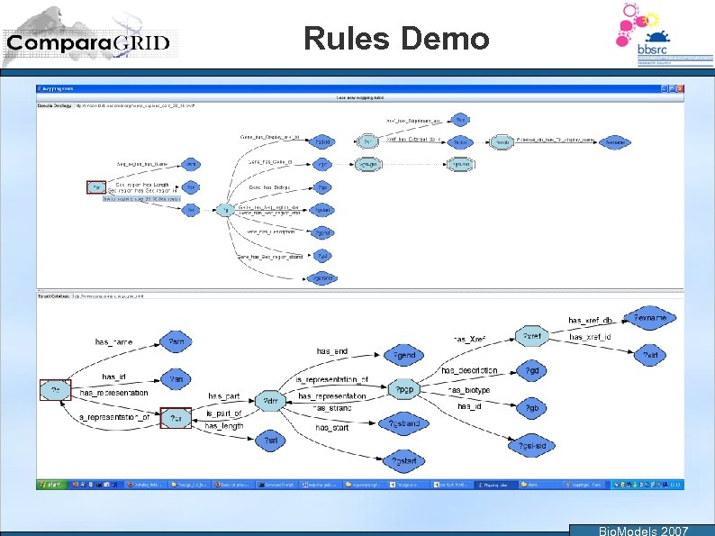 Rules Demo Bio. Models 2007 
