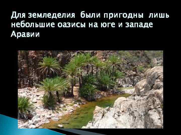 Для земледелия были пригодны лишь небольшие оазисы на юге и западе Аравии 