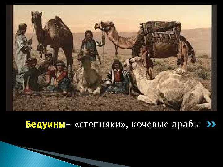 Бедуины- «степняки» , кочевые арабы 