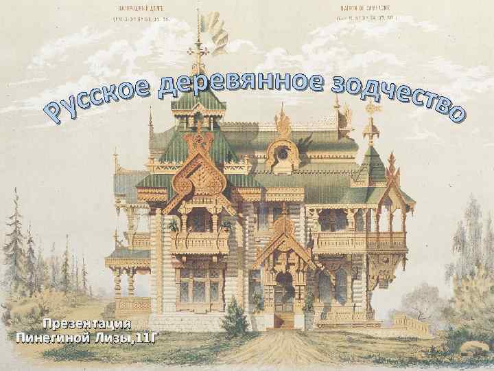 Презентация Пинегиной Лизы, 11 Г 