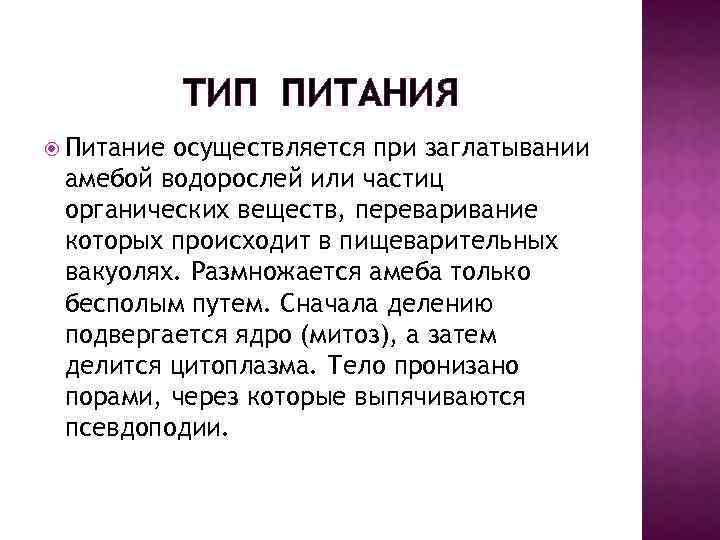 ТИП ПИТАНИЯ Питание осуществляется при заглатывании амебой водорослей или частиц органических веществ, переваривание которых