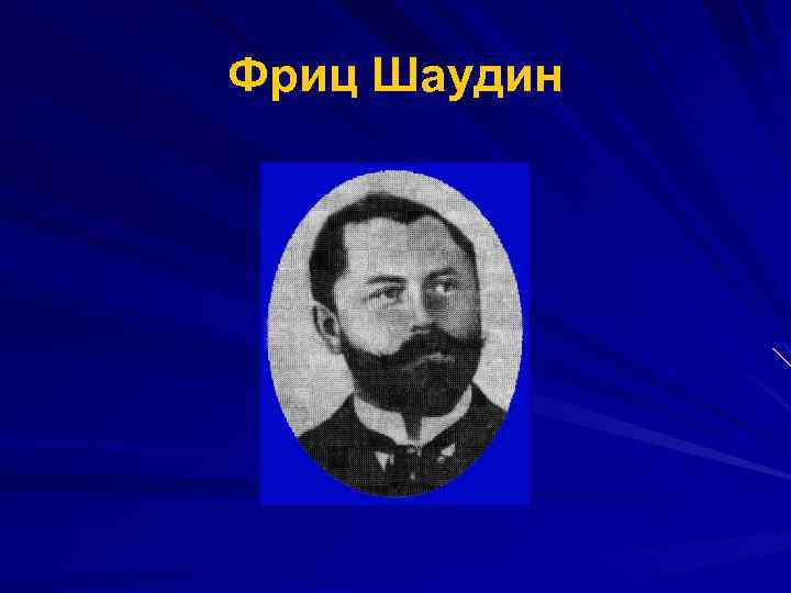 Фриц Шаудин 