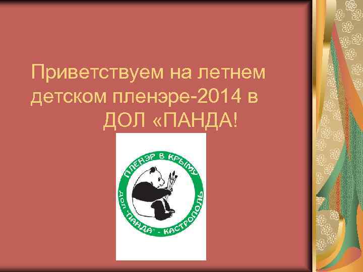 Приветствуем на летнем детском пленэре-2014 в ДОЛ «ПАНДА! 