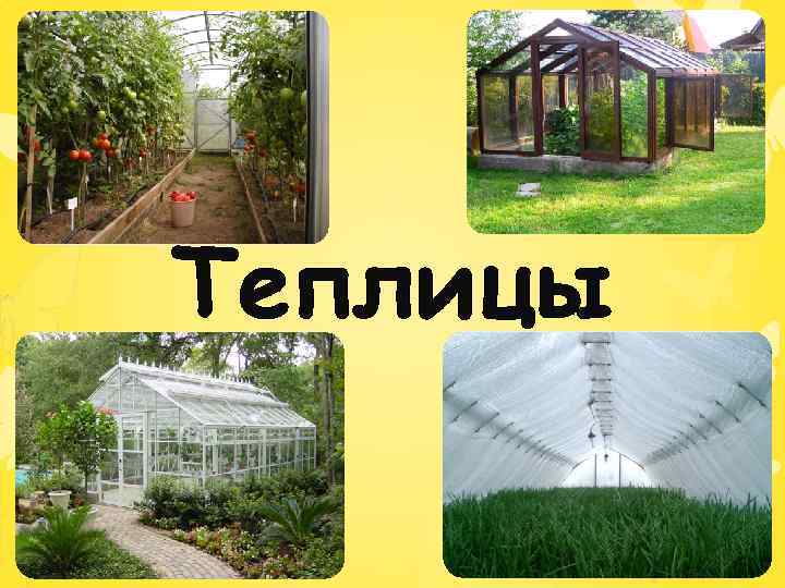 Теплицы 