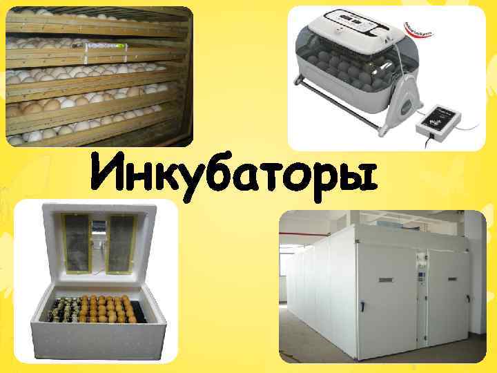 Инкубаторы 