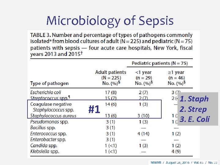 Microbiology of Sepsis #1 1. Staph 2. Strep 3. E. Coli 