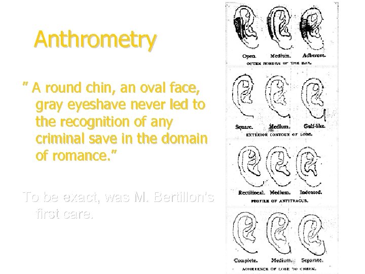 Anthrometry ” A round chin, an oval face, gray eyeshave never led to the