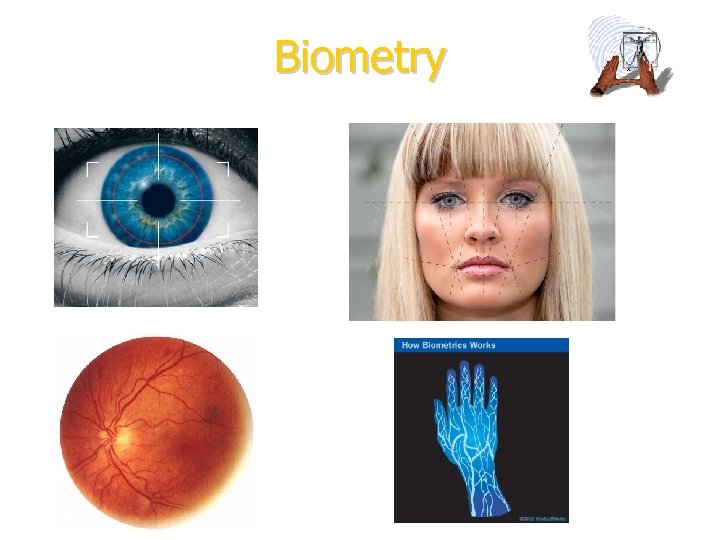 Biometry 