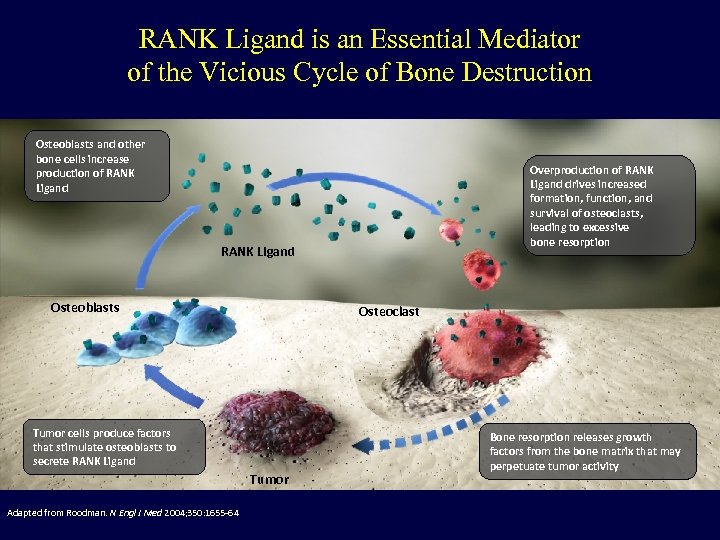 RANK Ligand is an Essential Mediator of the Vicious Cycle of Bone Destruction Osteoblasts