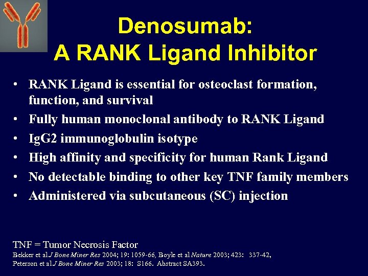 Denosumab: A RANK Ligand Inhibitor • RANK Ligand is essential for osteoclast formation, function,