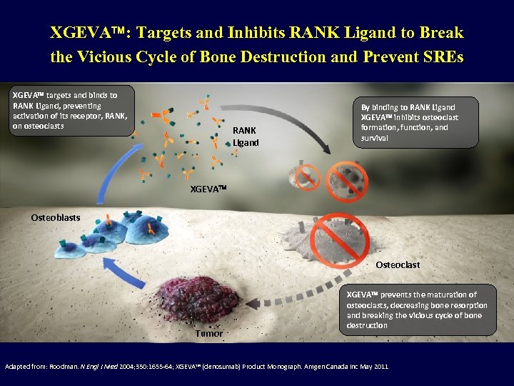 XGEVA : Targets and Inhibits RANK Ligand to Break the Vicious Cycle of Bone