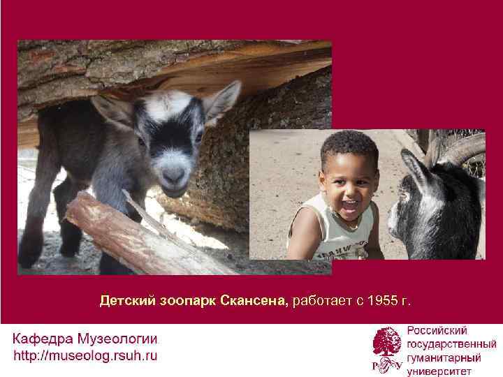 Детский зоопарк Скансена, работает с 1955 г. 