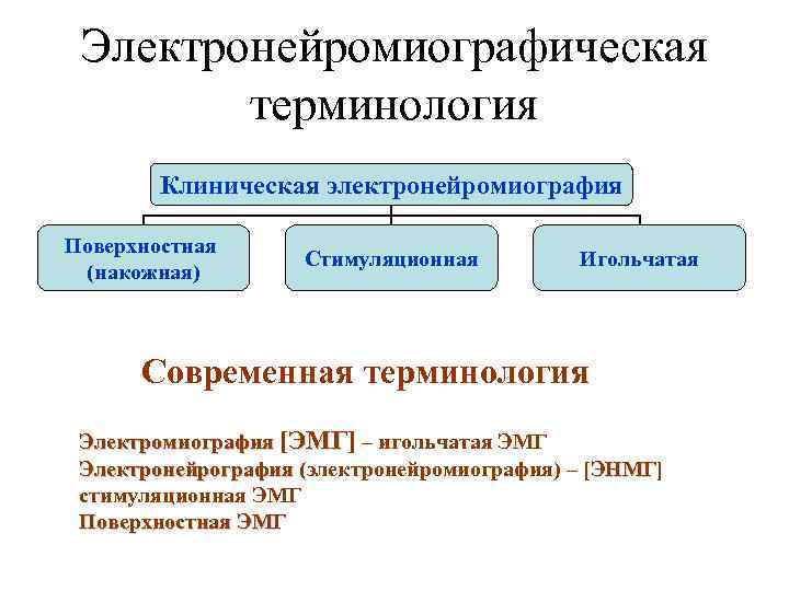 Электронейромиографическая терминология Клиническая электронейромиография Поверхностная (накожная) Стимуляционная Игольчатая Современная терминология Электромиография [ЭМГ] – игольчатая