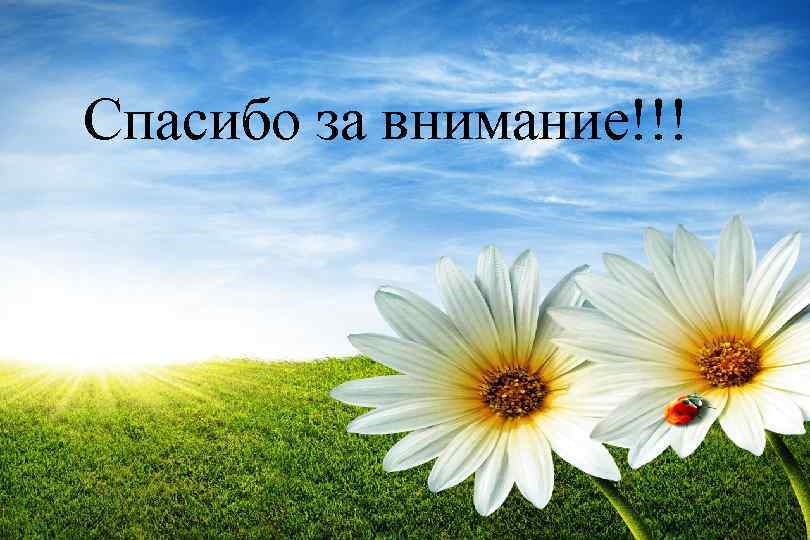 Спасибо за внимание!!! 