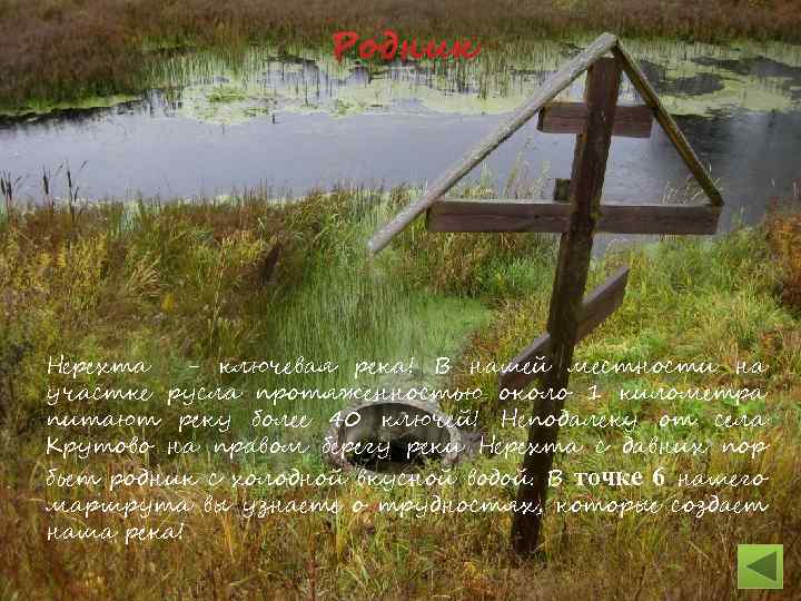 Родник Нерехта - ключевая река! В нашей местности на участке русла протяженностью около 1