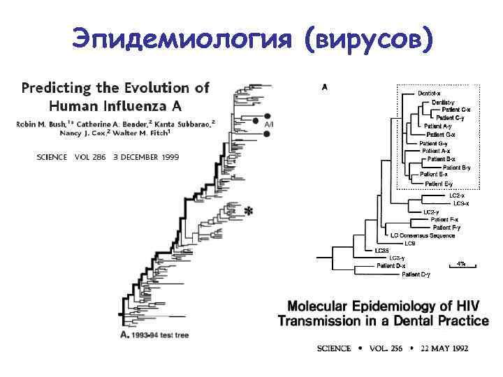 Эпидемиология (вирусов) 