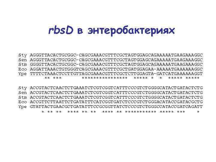 rbs. D в энтеробактериях Sty AGGGTTACACTGCGGC-CAGCGAAACGTTTCGCTAGTGGAGCAGAAAAATGAAGAAAGGC Sen AGGGTTACACTGCGGC-CAGCGAAACGTTTCGCTAGTGGAGCAGAAAAATGAAGAAAGGC Stm GGGGTTACACTGCGGC-CAGCGAAACGTTTCGCTAGTGGAGCAGAAAAATGAAGAAAGGC Eco AGGATTAAACTGTGGGTCAGCGAAACGTTTCGCTGATGGAGAA-AAAAATGAAAAAAGGC Ype TTTTCTAAACTCCTTGTTAGCGAAACGTTTCGCTCTTGGAGTA-GATCATGAAAAAAGGT