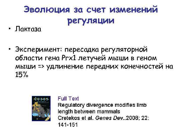 Эволюция за счет изменений регуляции • Лактаза • Эксперимент: пересадка регуляторной области гена Prx