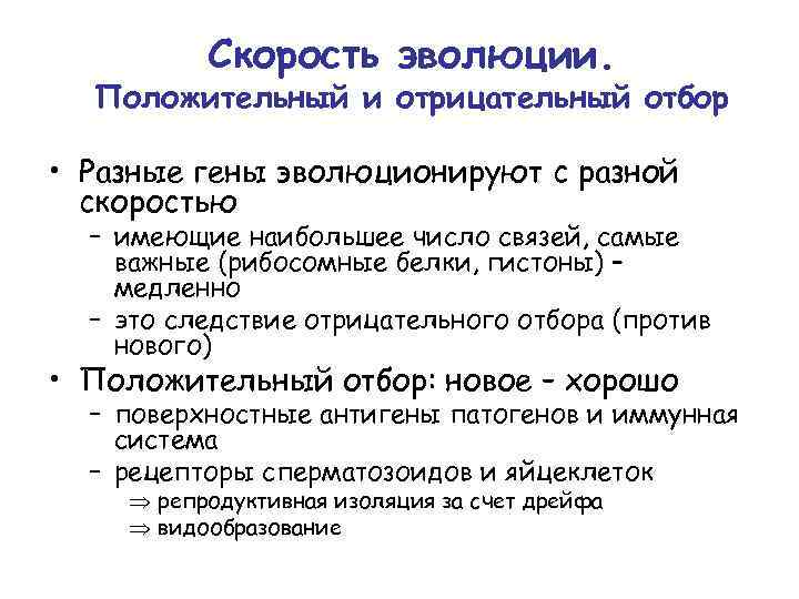 Скорость эволюции. Положительный и отрицательный отбор • Разные гены эволюционируют с разной скоростью –
