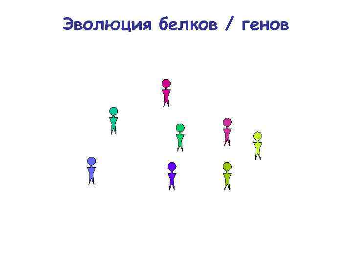 Эволюция белков / генов 
