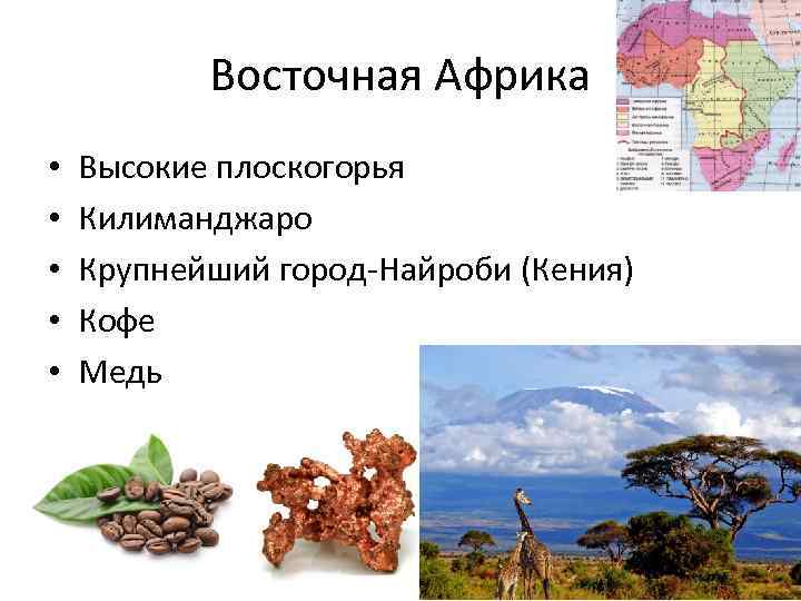 Восточная Африка • • • Высокие плоскогорья Килиманджаро Крупнейший город-Найроби (Кения) Кофе Медь 