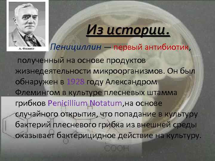  Из истории. Пенициллин — первый антибиотик, полученный на основе продуктов жизнедеятельности микроорганизмов. Он