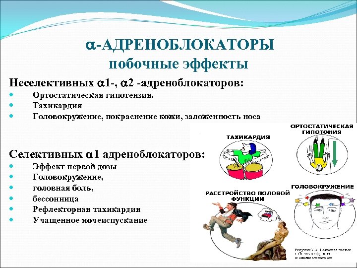  -АДРЕНОБЛОКАТОРЫ побочные эффекты Неселективных 1 -, 2 -адреноблокаторов: Ортостатическая гипотензия. Тахикардия Головокружение, покраснение