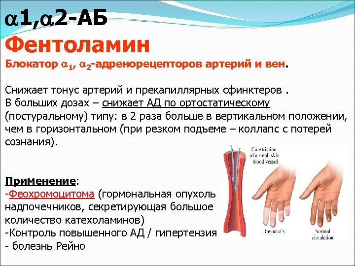  1, 2 -АБ Фентоламин Блокатор 1, 2 -адренорецепторов артерий и вен. Снижает тонус