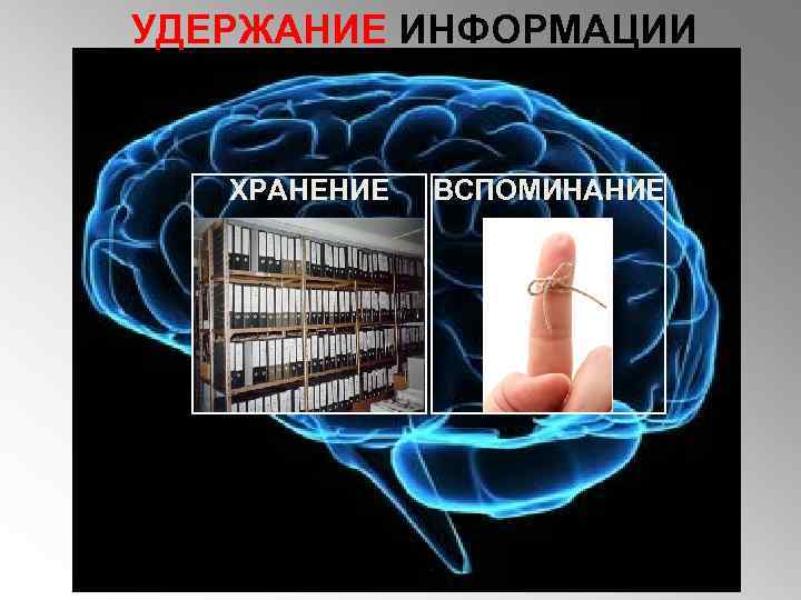 УДЕРЖАНИЕ ИНФОРМАЦИИ ХРАНЕНИЕ ВСПОМИНАНИЕ 