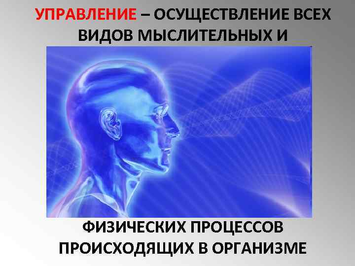 УПРАВЛЕНИЕ – ОСУЩЕСТВЛЕНИЕ ВСЕХ ВИДОВ МЫСЛИТЕЛЬНЫХ И ФИЗИЧЕСКИХ ПРОЦЕССОВ ПРОИСХОДЯЩИХ В ОРГАНИЗМЕ 