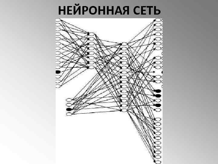 НЕЙРОННАЯ СЕТЬ 