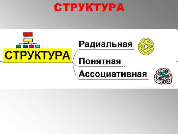 СТРУКТУРА 