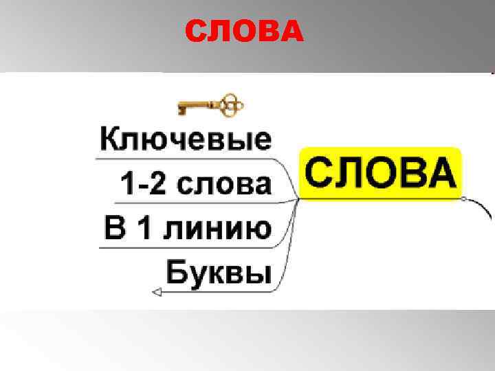 СЛОВА 