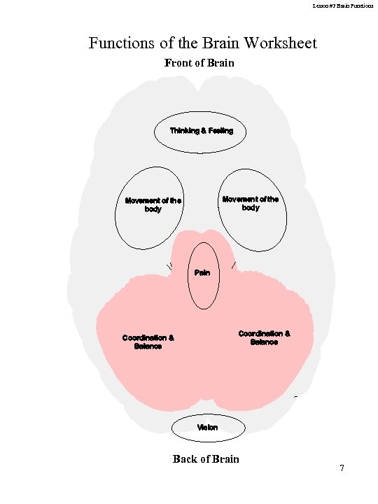 Lesson #2 Brain Functions of the Brain Worksheet Front of Brain Thinking & Feeling