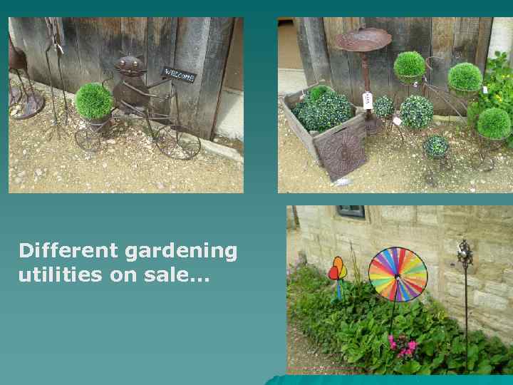 Different gardening utilities on sale… 