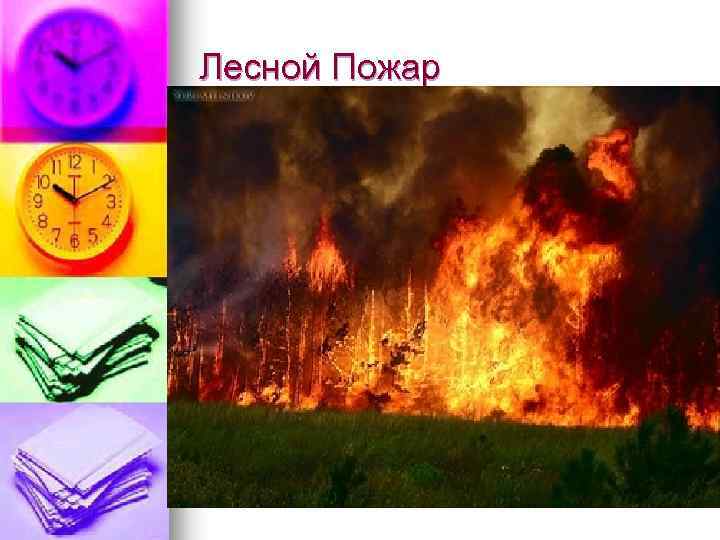 Лесной Пожар 