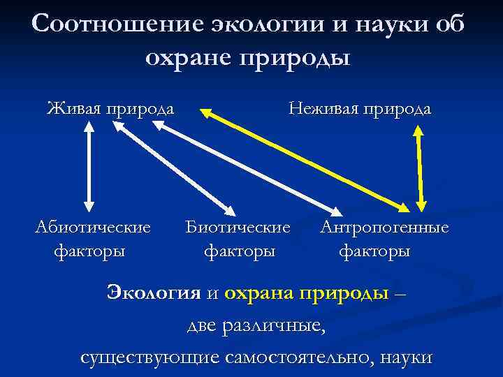 Соотношение экологии и науки об охране природы Живая природа Абиотические факторы Неживая природа Биотические