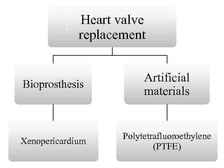 Heart valve replacement Bioprosthesis Artificial materials Xenopericardium Polytetrafluoroethylene (PTFE) 