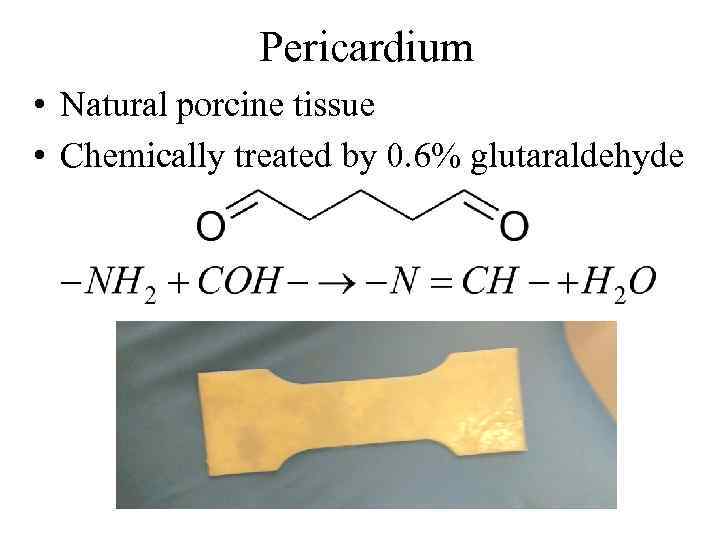 Pericardium • Natural porcine tissue • Chemically treated by 0. 6% glutaraldehyde 