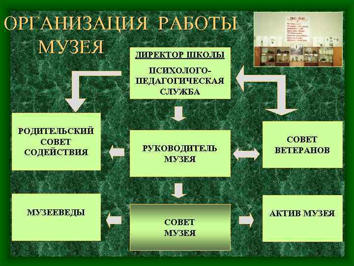 ОРГАНИЗАЦИЯ РАБОТЫ МУЗЕЯ ДИРЕКТОР ШКОЛЫ ПСИХОЛОГОПЕДАГОГИЧЕСКАЯ СЛУЖБА РОДИТЕЛЬСКИЙ СОВЕТ СОДЕЙСТВИЯ РУКОВОДИТЕЛЬ МУЗЕЯ МУЗЕЕВЕДЫ СОВЕТ