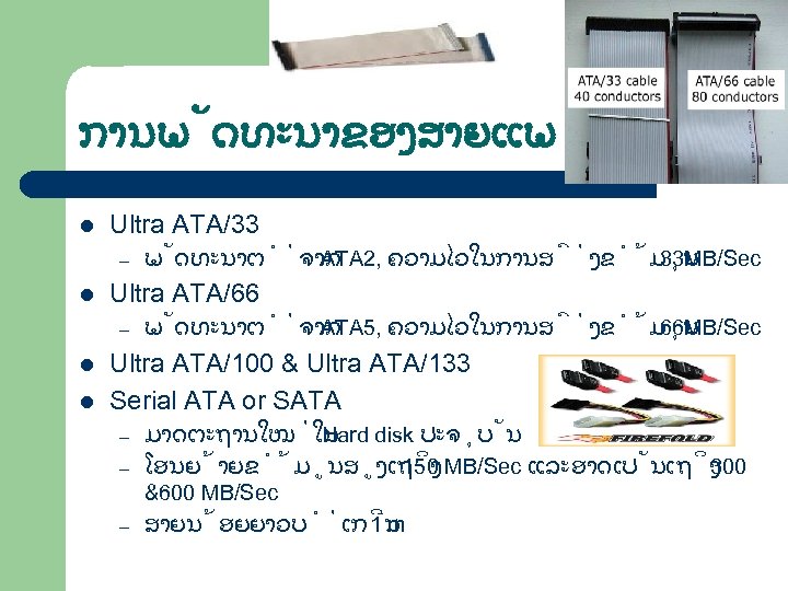 ການພ ດທະນາຂອງສາຍແພ l Ultra ATA/33 – l Ultra ATA/66 – l l ພ ດທະນາຕ