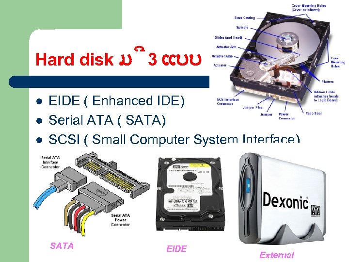 Hard disk ມ 3 ແບບ l l l EIDE ( Enhanced IDE) Serial ATA