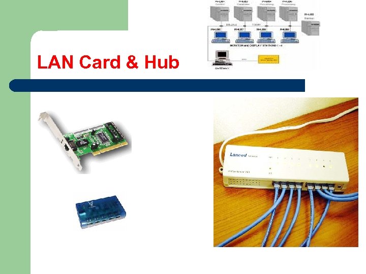 LAN Card & Hub 