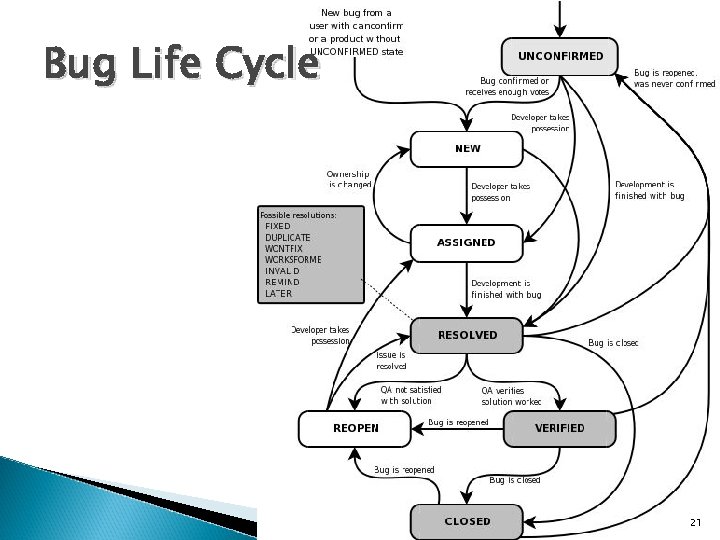 Bug Life Cycle 21 