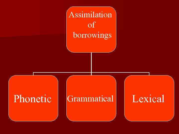 Assimilation of borrowings Phonetic Grammatical Lexical 